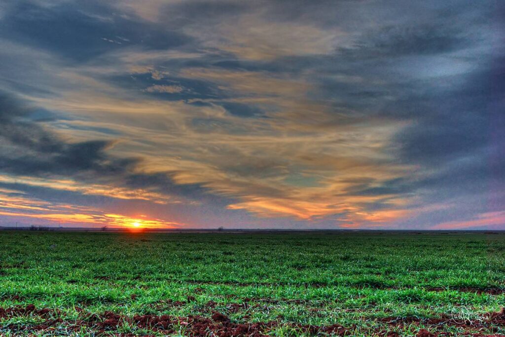A winter wheat field extends to a colorful sunset in Oklahoma. Clouds display orange, purple, and gray tones across the sky.